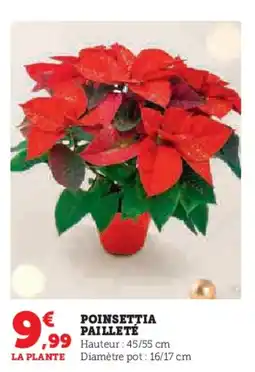 Hyper U Poinsettia pailleté offre