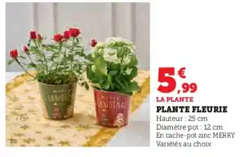 Hyper U Plante fleurie offre