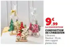 Hyper U Composition de cymbidium offre