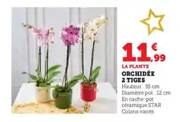 Hyper U Orchidée 2 tiges offre