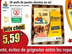 Norma 20 œufs de poules élevées au sol offre