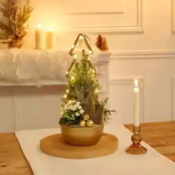 Carrefour Composition plantes décoration festive offre