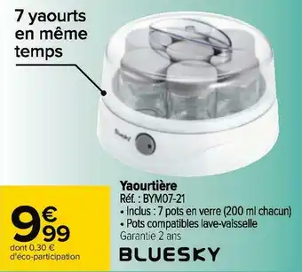 Carrefour Bluesky yaourtière offre