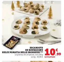 U Express Escargots helix pomatia bel de bourgogne helis pomatia belle grosseur offre