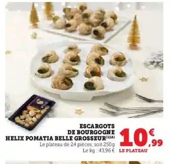 Escargots helix pomatia bel de bourgogne helis pomatia belle grosseur