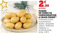 U Express Pomme de terre de consommation a chair ferme offre