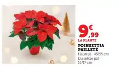 U Express Poinsettia pailleté offre