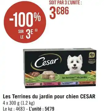Cesar les terrines du jardin pour chien