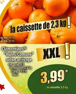 Norma Clémentines nules/comune offre
