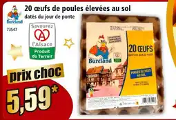 Norma Bureland 20 œufs de poules élevées au sol offre