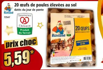 Norma Bureland 20 œufs de poules élevées au sol offre