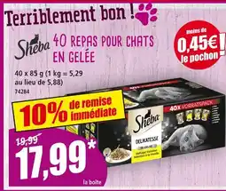 Norma Sheba 40 repas pour chats en gelée offre