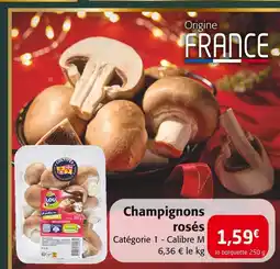 Colruyt Lou champignons rosés offre