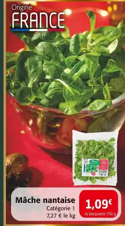 Colruyt Mâche nantaise offre