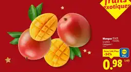 Lidl Mangue offre