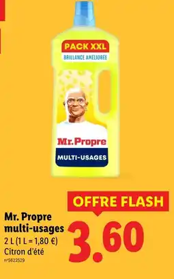 Lidl Mr. propre multi-usages offre