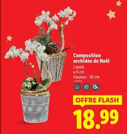 Lidl Composition orchidée de noël offre