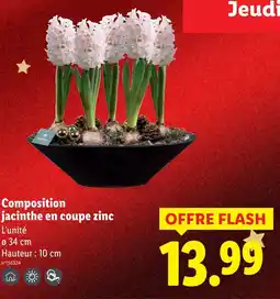 Lidl Composition jacinthe en coupe zinc offre
