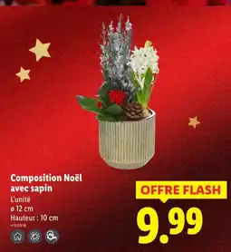 Lidl Composition noël avec sapin offre