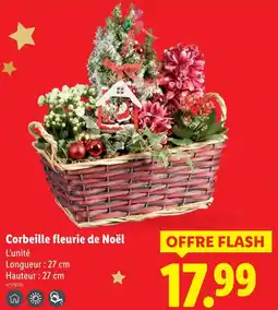 Lidl Corbeille fleurie de noël offre