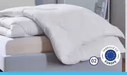 ALDI NOVITESSE Couette offre