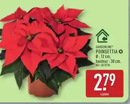 ALDI GARDENLINE Poinsettia offre