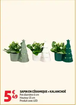 Auchan Supermarché Sapin en céramique+kalanchoë offre