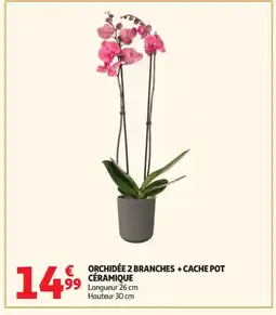 Auchan Supermarché Orchidee 2 branches + cache pot céramique offre