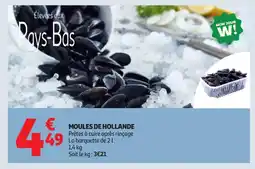 Auchan Supermarché Moules de hollande offre