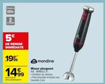 Carrefour Mixeur plongeant offre