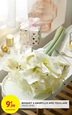 Intermarché Bouquet 3 amaryllis avec feuillage offre