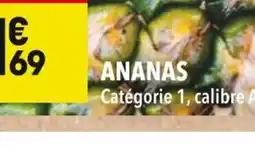 Supeco Ananas offre