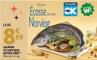 Mon - saumon atlantique entier vide