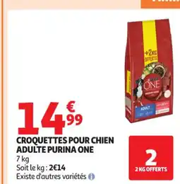 Auchan Supermarché PURINA ONE Croquettes pour chien adulte offre
