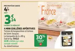 Auchan 4 mini cuillères apéritives offre