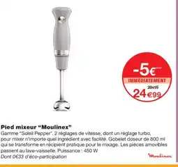 Monoprix MOULINEX Pied mixeur offre