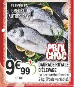 marché frais Géant Daurade royale d'élevage offre