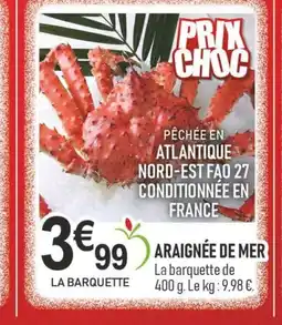 marché frais Géant Araignée de mer offre