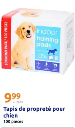 Action Tapis de propreté pour chien offre