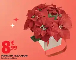 Auchan Poinsettia + sac cadeau offre