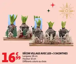 Auchan Décor village avec led + 3 jacinthes offre
