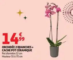 Auchan Orchidée 2 branches + cache pot céramique offre