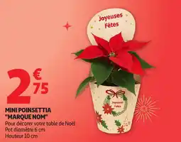 Auchan Mini poinsettia marque nom offre