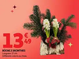 Auchan Bûche 2 jacinthes offre