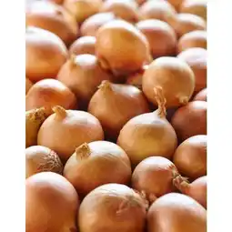 Carrefour Filiere qualite carf oignon jaune agroécologie filiere qualite carrefour offre