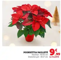 Bi1 Poinsettia pailleté offre