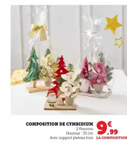 Bi1 Composition de cymbidium offre