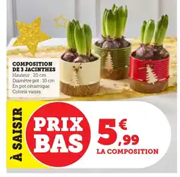 Bi1 Composition de 3 jacinthes offre
