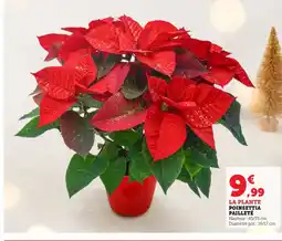 Bi1 Poinsettia pailleté offre