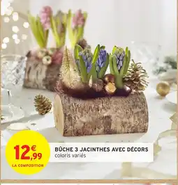 Intermarché Hyper Bûche 3 jacinthes avec décors offre